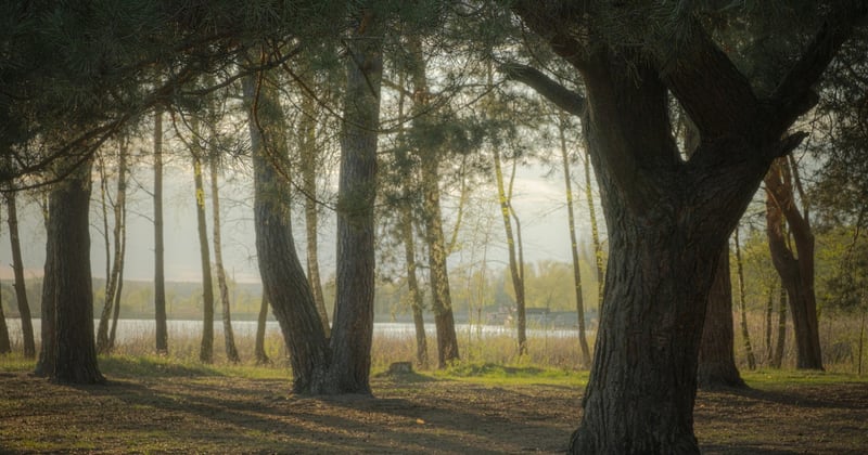 Bootstrapping vs Venture Capital: Which Path Is Right for You